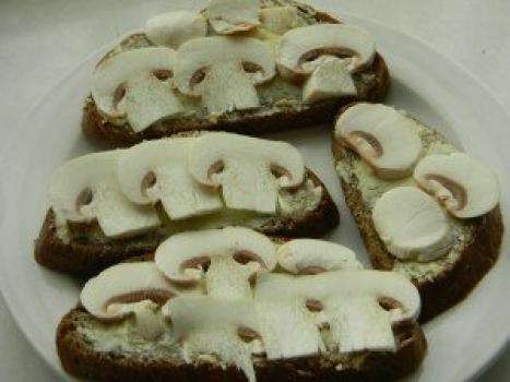 Gombás szendvicsek: lépésről lépésre recept fotókkal Szendvicsek nyers gombával és sajttal